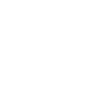 DFVU logo